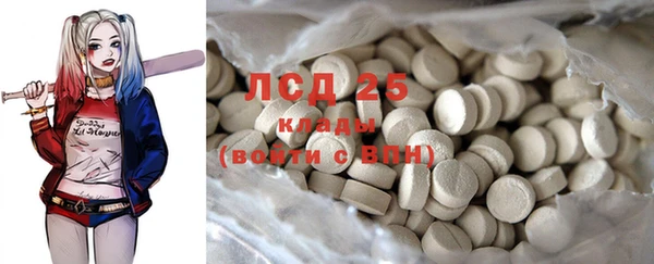 прущие грибы Верея