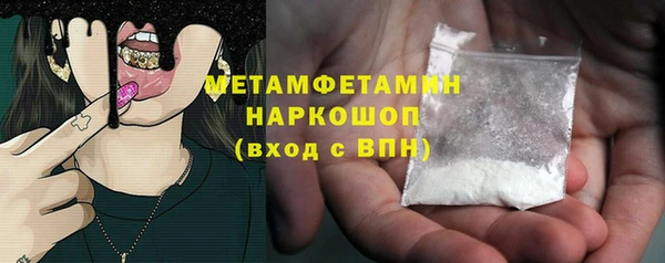 прущие грибы Верея