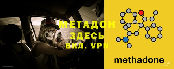 прущие грибы Верея