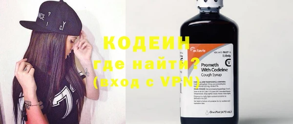 прущие грибы Верея
