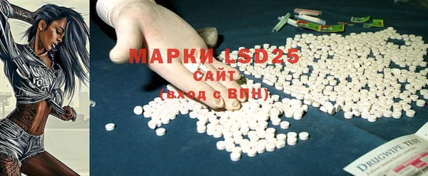 прущие грибы Верея