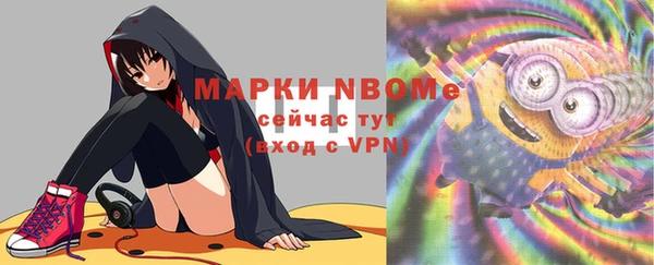 прущие грибы Верея
