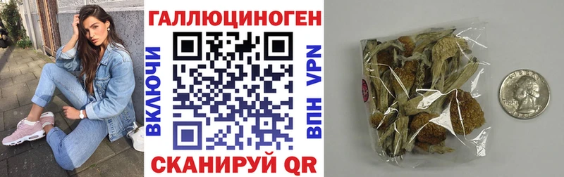 Галлюциногенные грибы Psilocybine cubensis  где продают   Ковылкино 